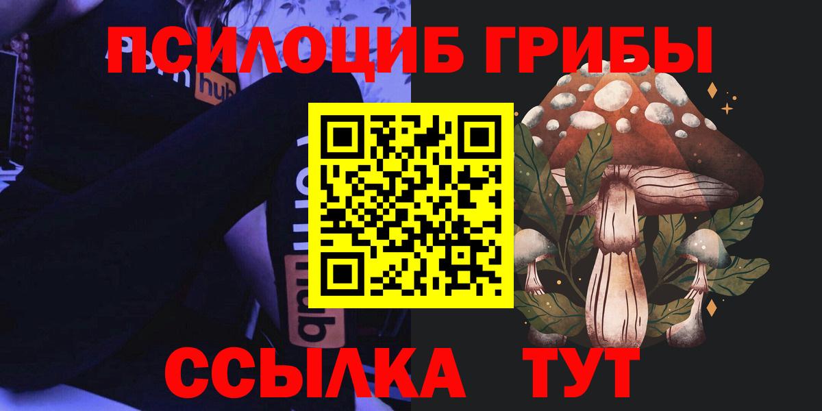 Рязань  Псилоцибиновые грибы Cubensis  Вход с VPN 