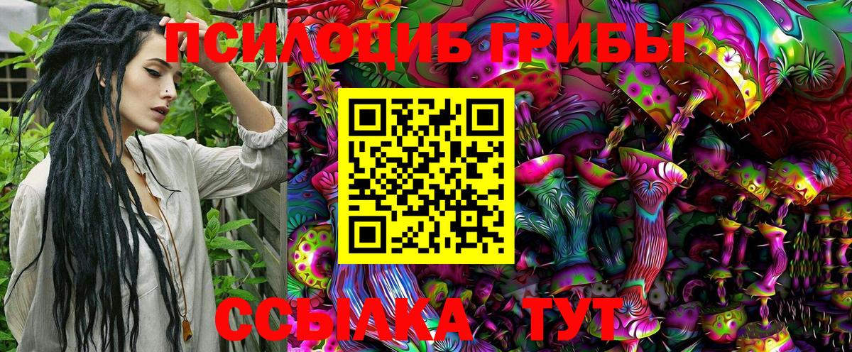 Галлюциногенные грибы прущие грибы Рязань